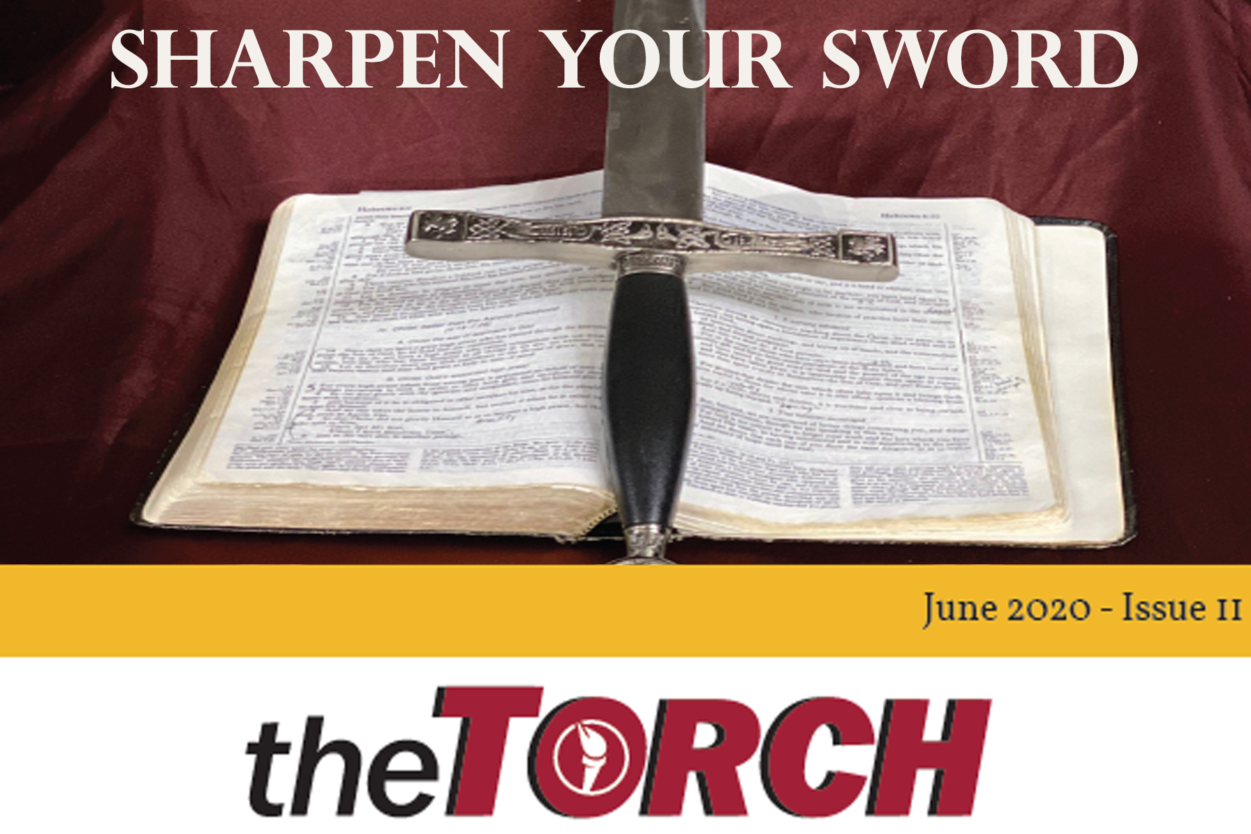 The Torch Issue 11 Cover